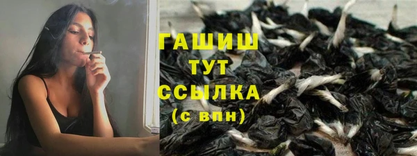 дмт Алексин